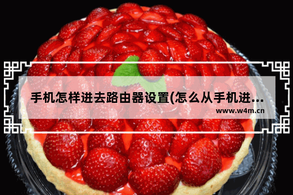 手机怎样进去路由器设置(怎么从手机进去路由器设置)