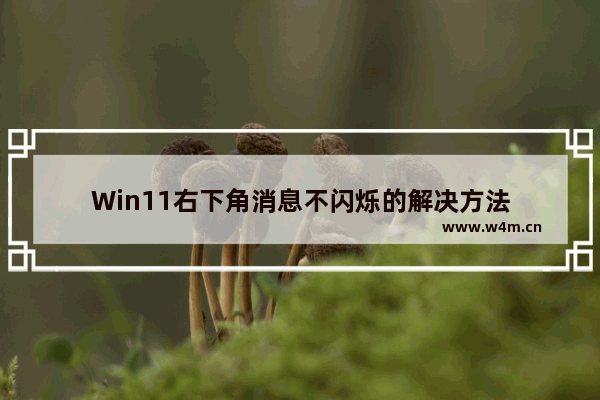 Win11右下角消息不闪烁的解决方法