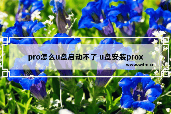 pro怎么u盘启动不了 u盘安装proxmox