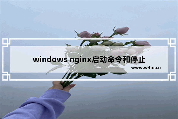 windows nginx启动命令和停止命令是什么 windows nginx启动和停止命令介绍