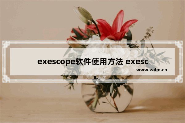 exescope软件使用方法 exescope使用教程详解