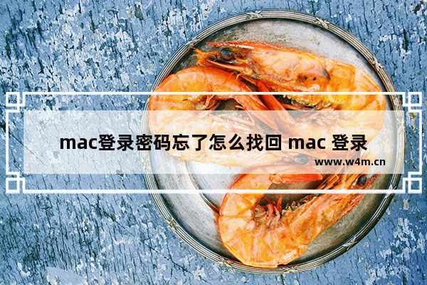 mac登录密码忘了怎么找回 mac 登录密码忘了