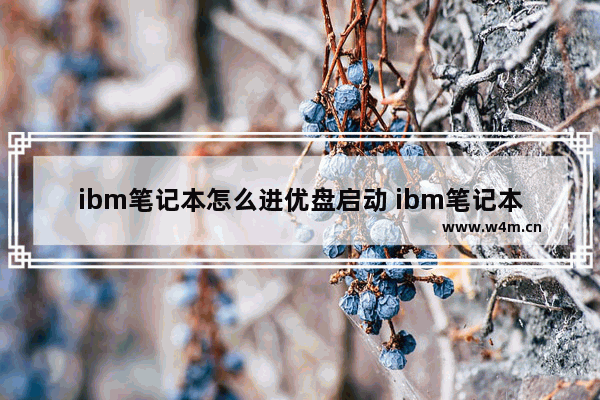 ibm笔记本怎么进优盘启动 ibm笔记本怎么用u盘装系统