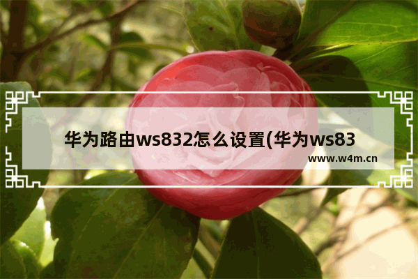 华为路由ws832怎么设置(华为ws833路由器怎么设置)