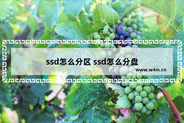 ssd怎么分区 ssd怎么分盘