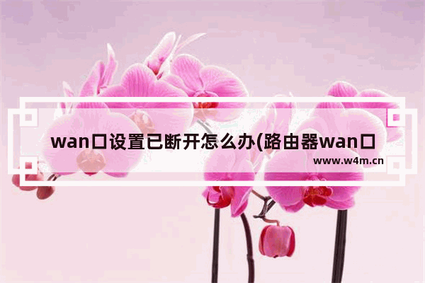 wan口设置已断开怎么办(路由器wan口设置显示已断开)