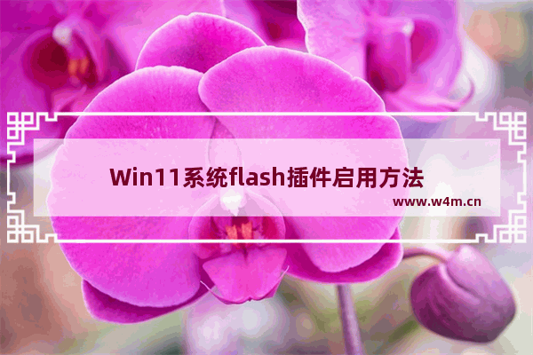 Win11系统flash插件启用方法