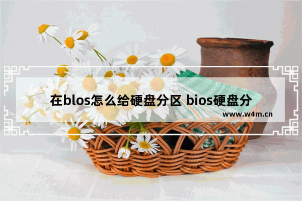 在blos怎么给硬盘分区 bios硬盘分区教程