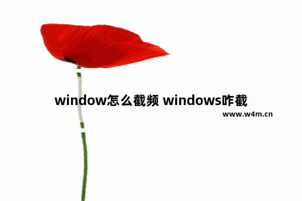 window怎么截频 windows咋截屏