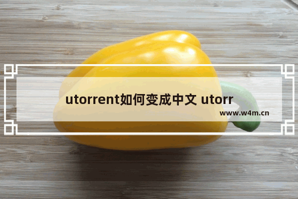 utorrent如何变成中文 utorrent英文怎么调中文