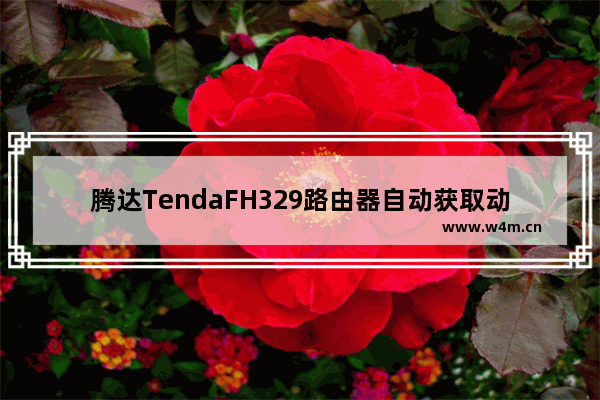 腾达TendaFH329路由器自动获取动态IP设置上网