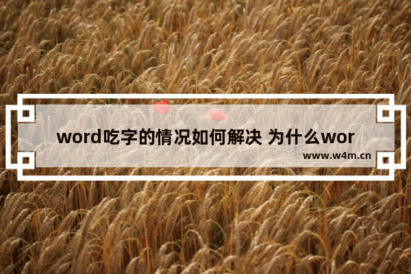 word吃字的情况如何解决 为什么word文档打字时会吃字