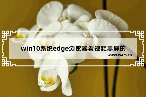 win10系统edge浏览器看视频黑屏的解决方法