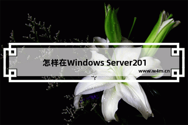 怎样在Windows Server2016上创建NFS文件共享 Windows Server2016上创建NFS文件共享的方法步骤