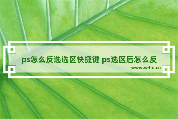 ps怎么反选选区快捷键 ps选区后怎么反向选择