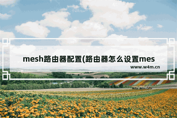 mesh路由器配置(路由器怎么设置mesh组网)