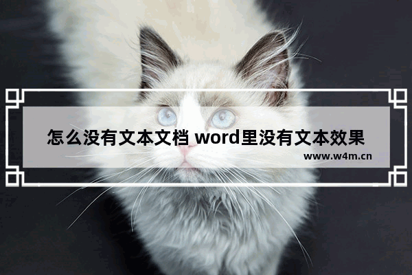 怎么没有文本文档 word里没有文本效果怎么办