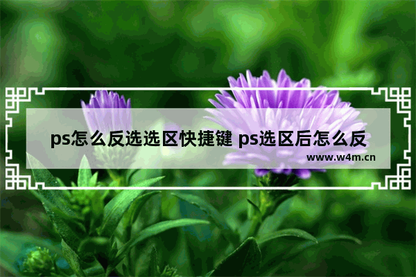 ps怎么反选选区快捷键 ps选区后怎么反向选择