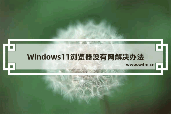 Windows11浏览器没有网解决办法