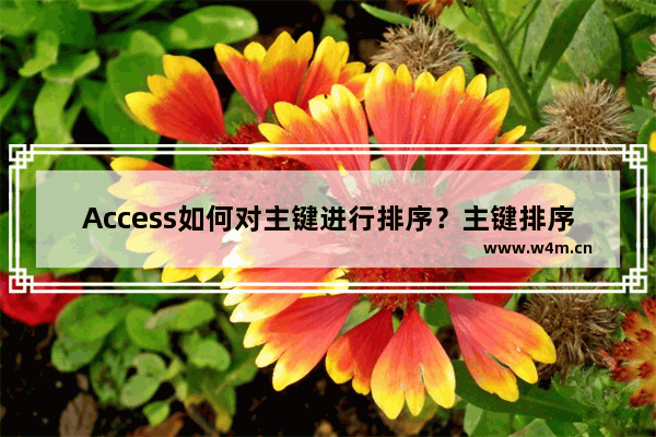 Access如何对主键进行排序？主键排序方法分享