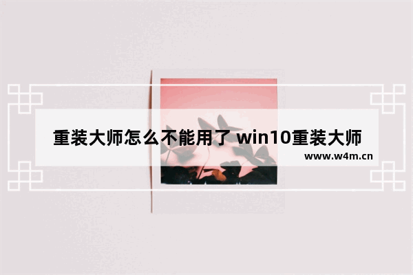 重装大师怎么不能用了 win10重装大师