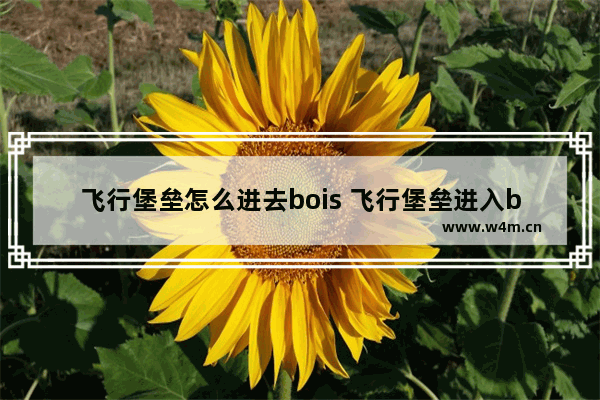 飞行堡垒怎么进去bois 飞行堡垒进入bois