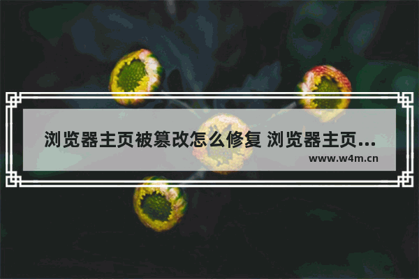 浏览器主页被篡改怎么修复 浏览器主页被改改不回来了