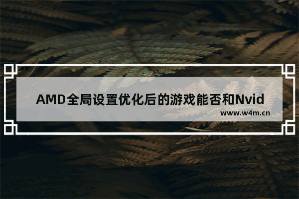 AMD全局设置优化后的游戏能否和Nvidia相比？