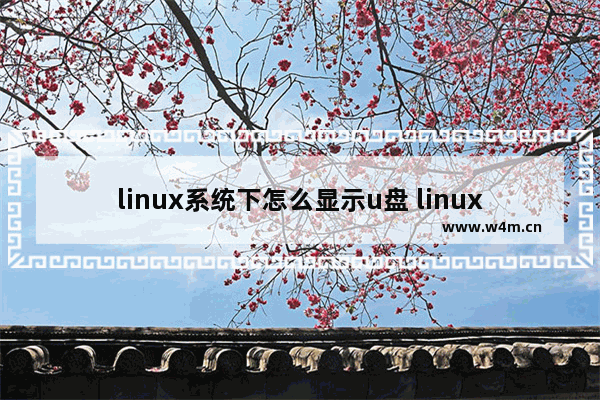 linux系统下怎么显示u盘 linux看u盘