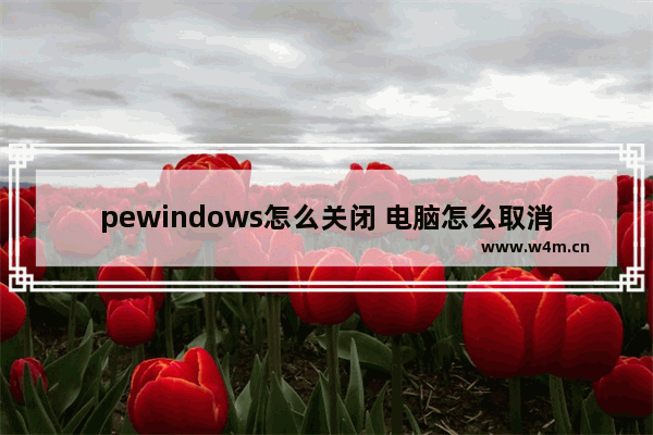 pewindows怎么关闭 电脑怎么取消pe系统