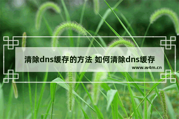 清除dns缓存的方法 如何清除dns缓存