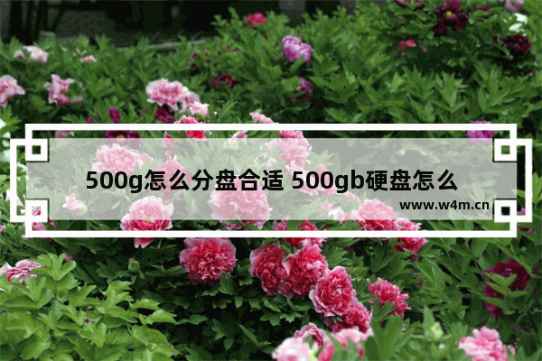 500g怎么分盘合适 500gb硬盘怎么分区最好