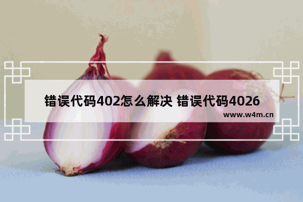 错误代码402怎么解决 错误代码4026