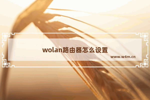 wolan路由器怎么设置