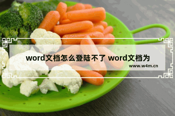 word文档怎么登陆不了 word文档为什么登陆不了