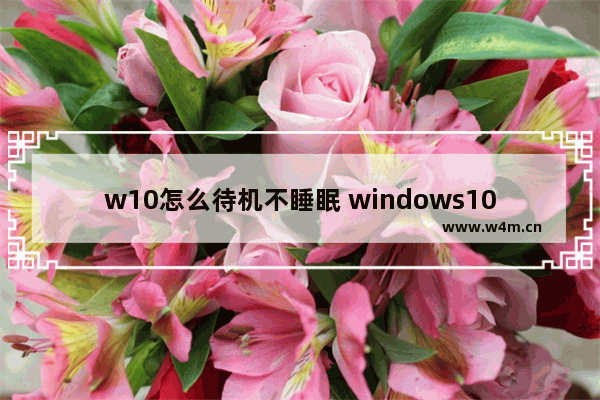 w10怎么待机不睡眠 windows10不待机设置