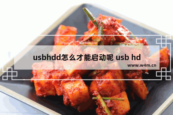 usbhdd怎么才能启动呢 usb hdd