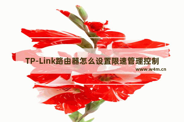 TP-Link路由器怎么设置限速管理控制局域网下的网络带宽