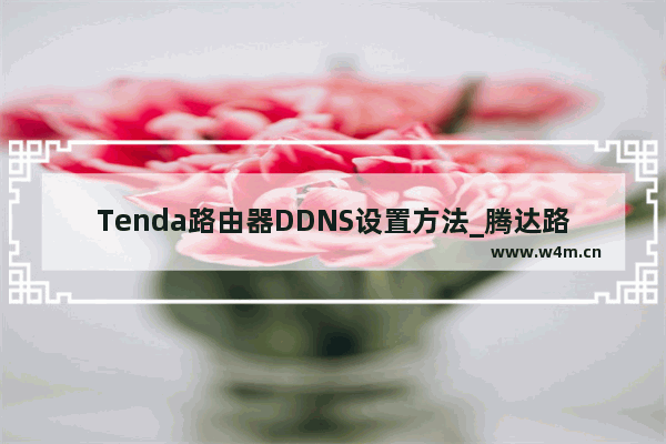 Tenda路由器DDNS设置方法_腾达路由器动态域名设置方法图解