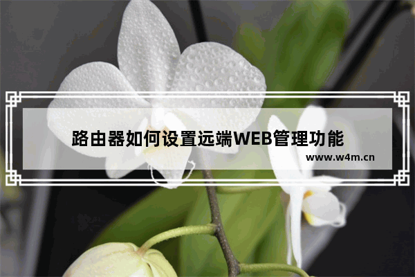 路由器如何设置远端WEB管理功能