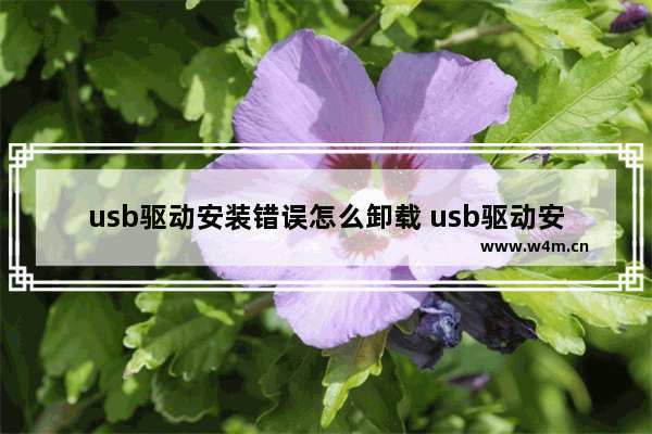 usb驱动安装错误怎么卸载 usb驱动安装错误怎么卸载软件