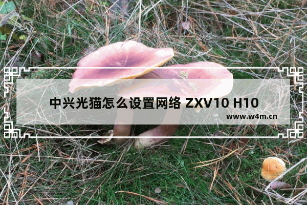 中兴光猫怎么设置网络 ZXV10 H108L路由器设置方法