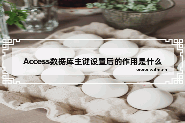 Access数据库主键设置后的作用是什么？