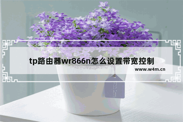 tp路由器wr866n怎么设置带宽控制