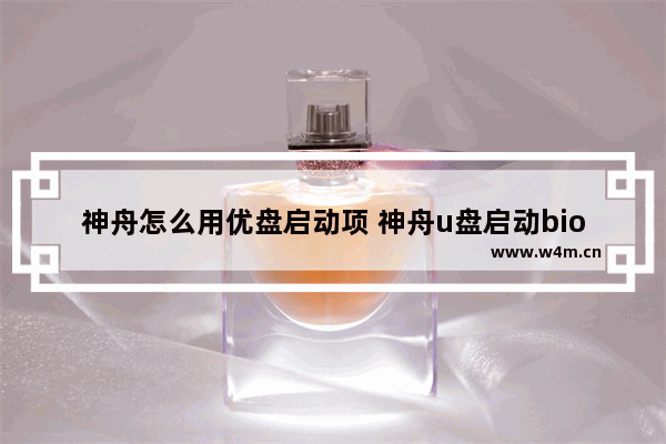 神舟怎么用优盘启动项 神舟u盘启动bios设置方法