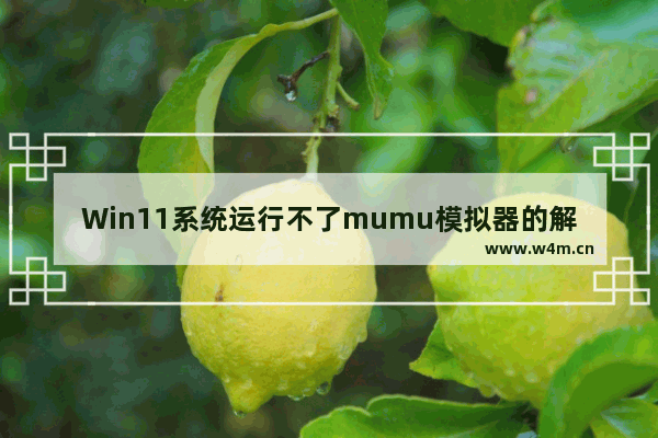 Win11系统运行不了mumu模拟器的解决方法