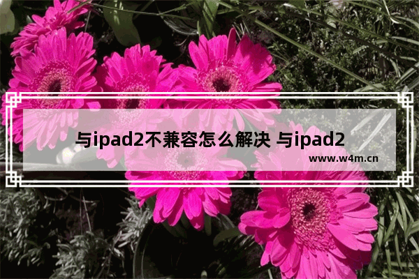 与ipad2不兼容怎么解决 与ipad2不兼容怎么解决问题