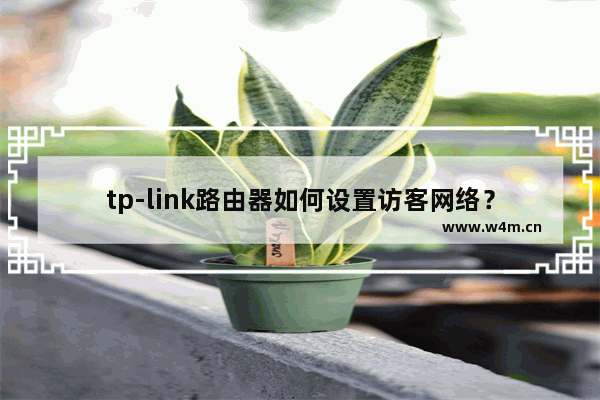 tp-link路由器如何设置访客网络？