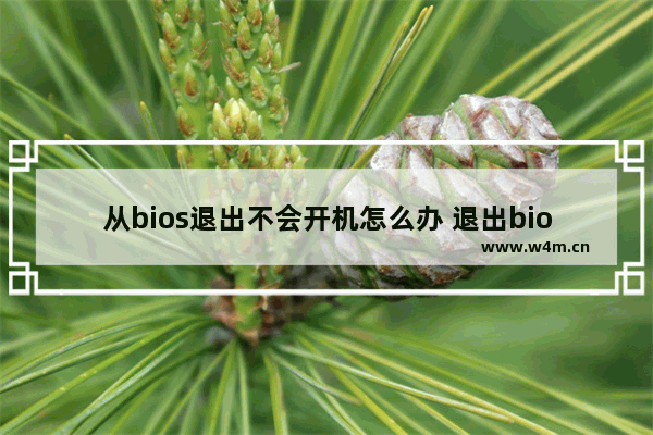 从bios退出不会开机怎么办 退出bios界面又回到bios