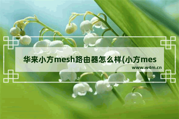 华来小方mesh路由器怎么样(小方mesh路由器设置详解)